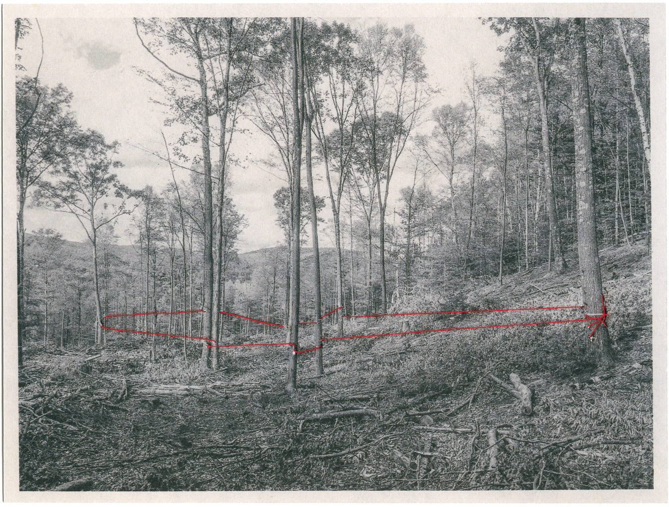 © Amani Willett, from his series The Disappearance of Joseph Plummer