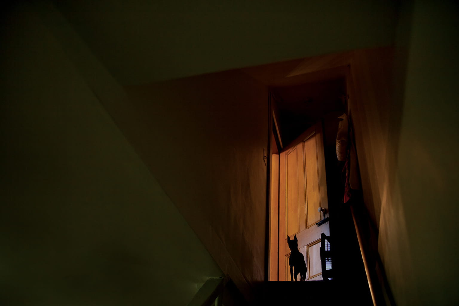 © Amani Willett from Disquiet