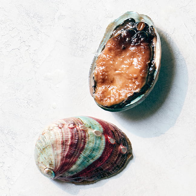 Abalone shell and live abalone
