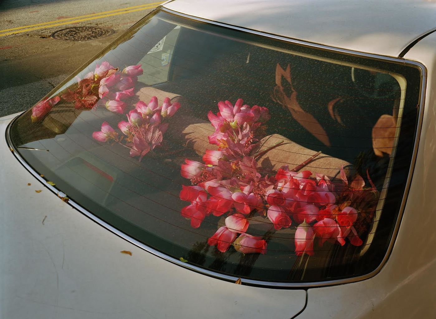 © Barney Kulok from Simple Facts