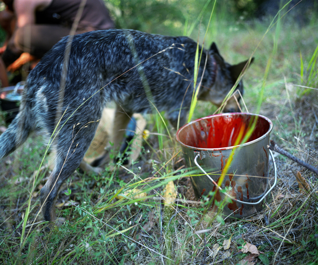 bucket
Steinacher Creek, California