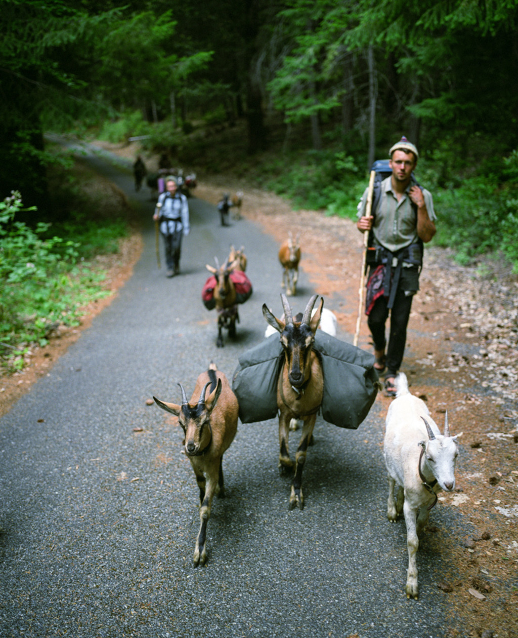 trek
Marble Mountain Wilderness, California