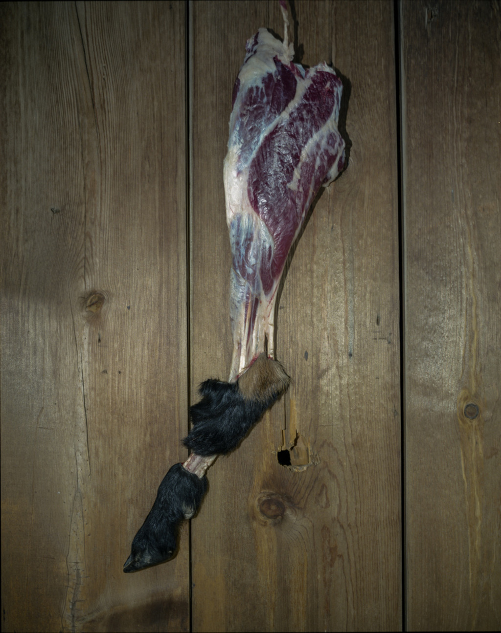 steak with a hoof
Huddles Holes, Craters of The Moon, Idaho
