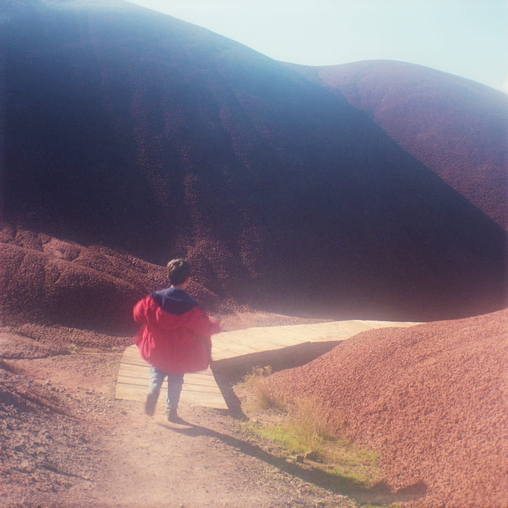 Sam, Painted Hills, Oregon