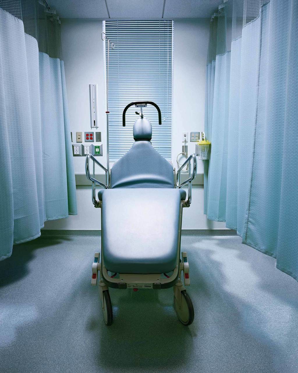 Green Recovery Bed © Cara Phillips