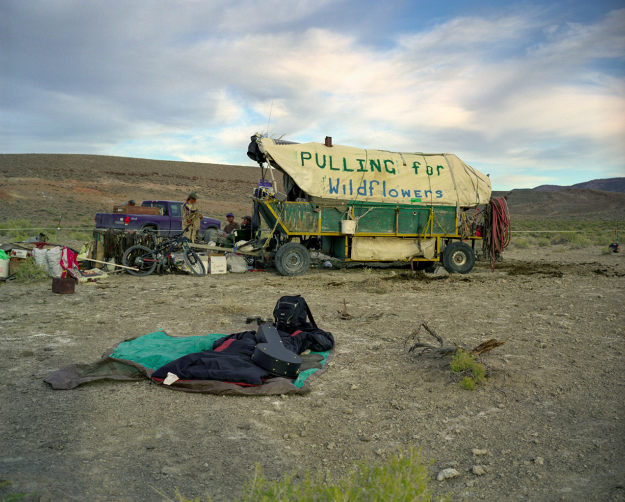 <em>pulling for wildflowers</em><br/>
Spencer Hot Springs, Nevada