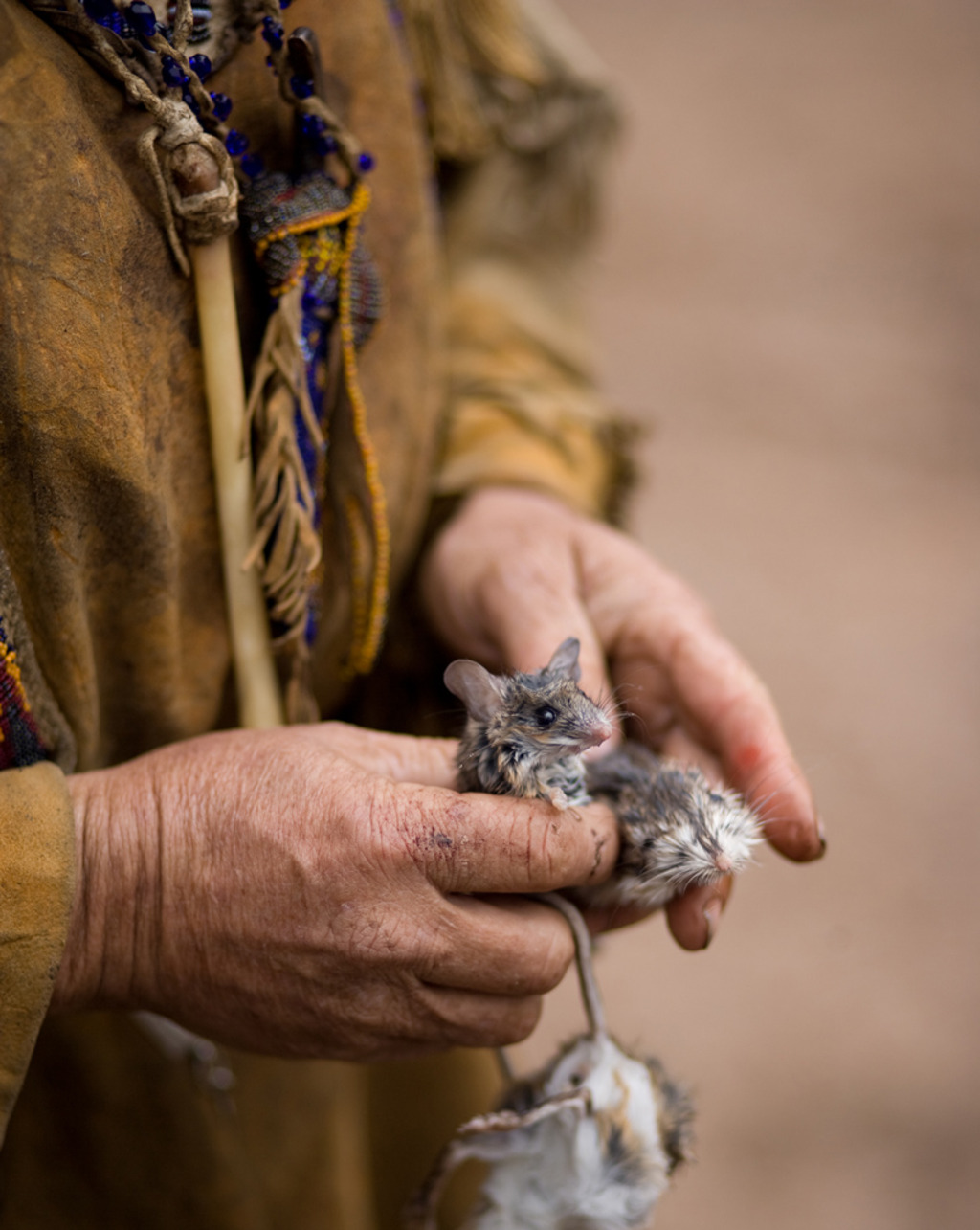 <em>mouse in hand</em><br/>
Dodge Pocket, Nevada