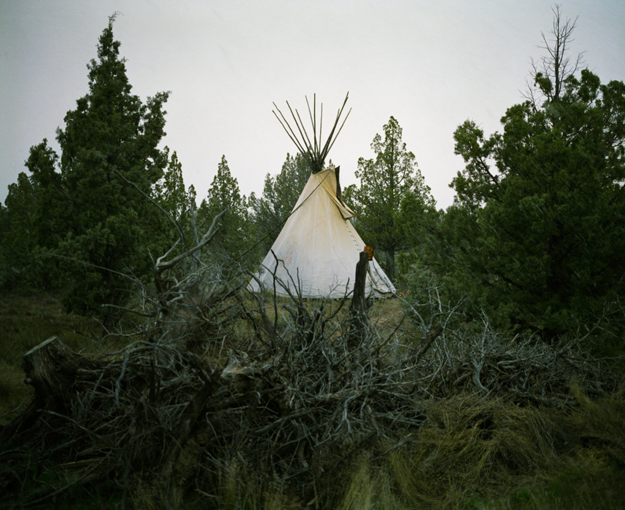 <em>Dirty Skirts</em><br/>
Geneva, Oregon