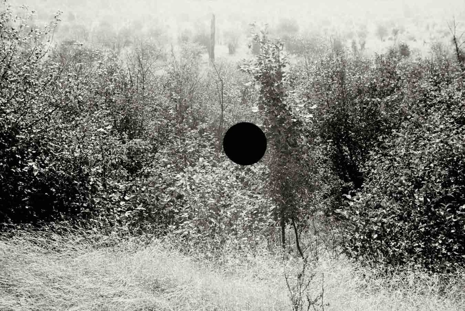 Untitled. Maryland. 1935. Theodor Jung.