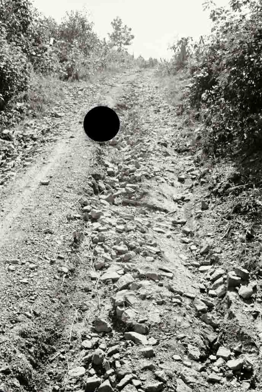 Bad road, Garrett County, Maryland. 1935. Theodor Jung.