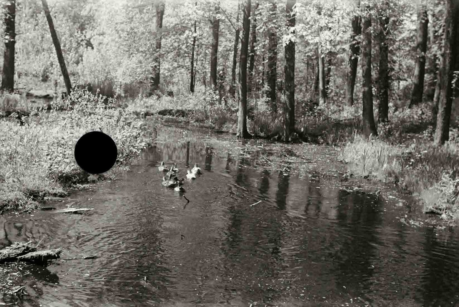 Untitled. Michigan. 1936. Paul Carter.