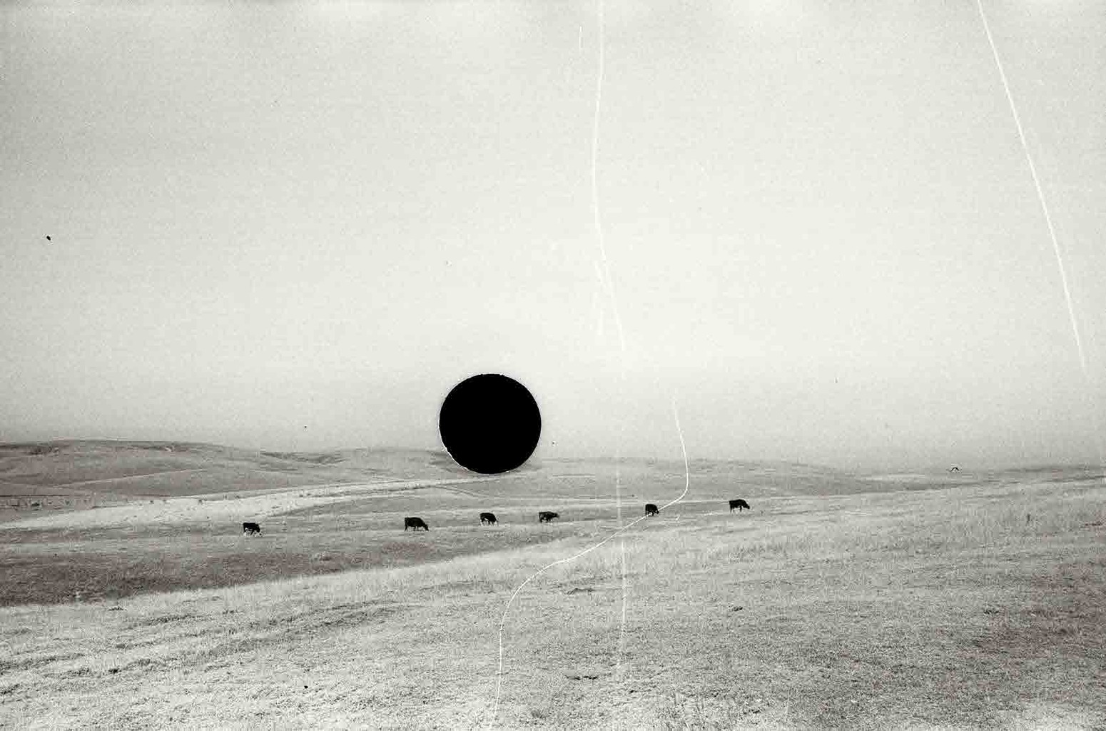 Untitled. Nebraska. 1938. John Vachon.
