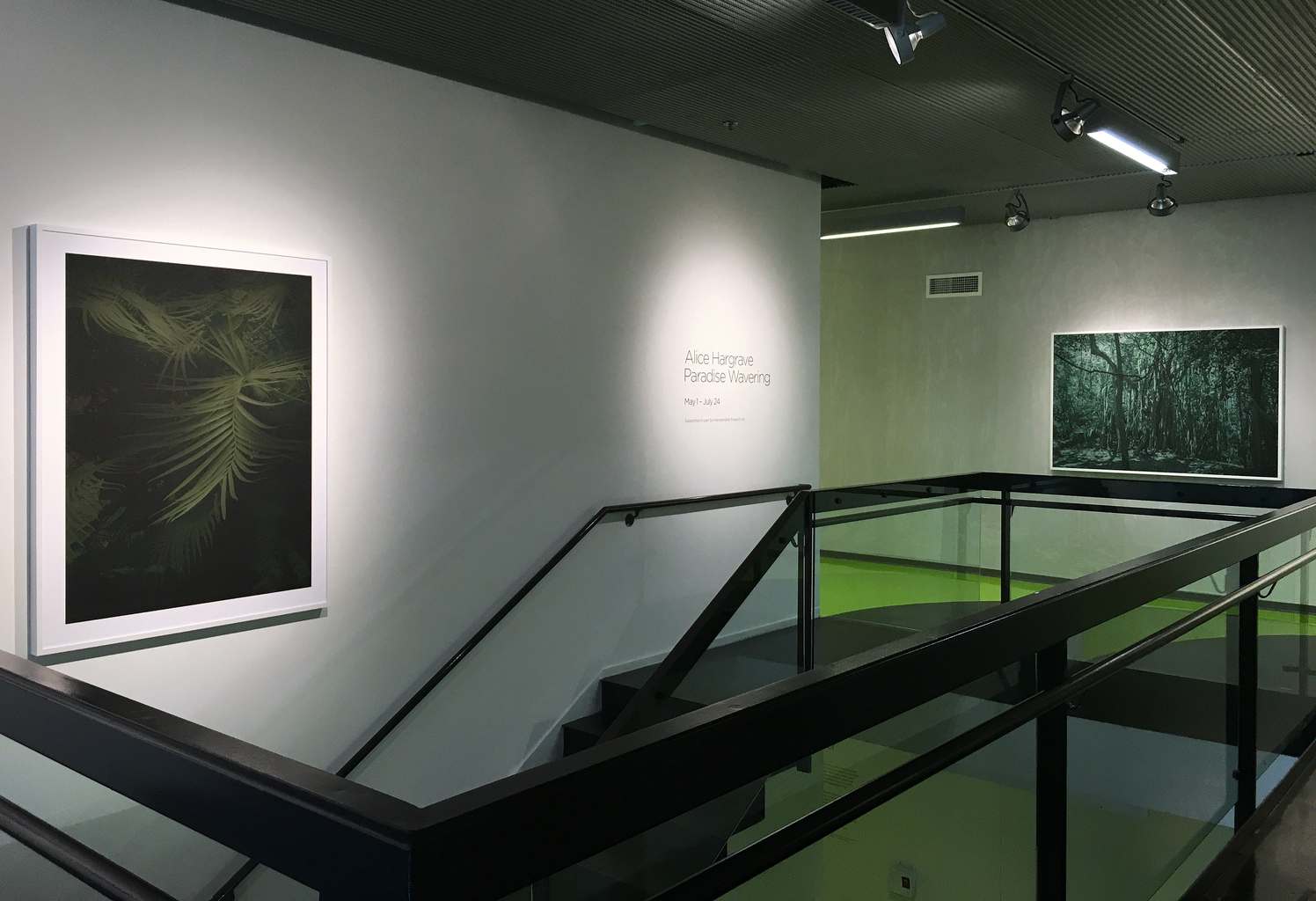 Hyde Park Art Center, Chicago, May 1 - July 24, 2016