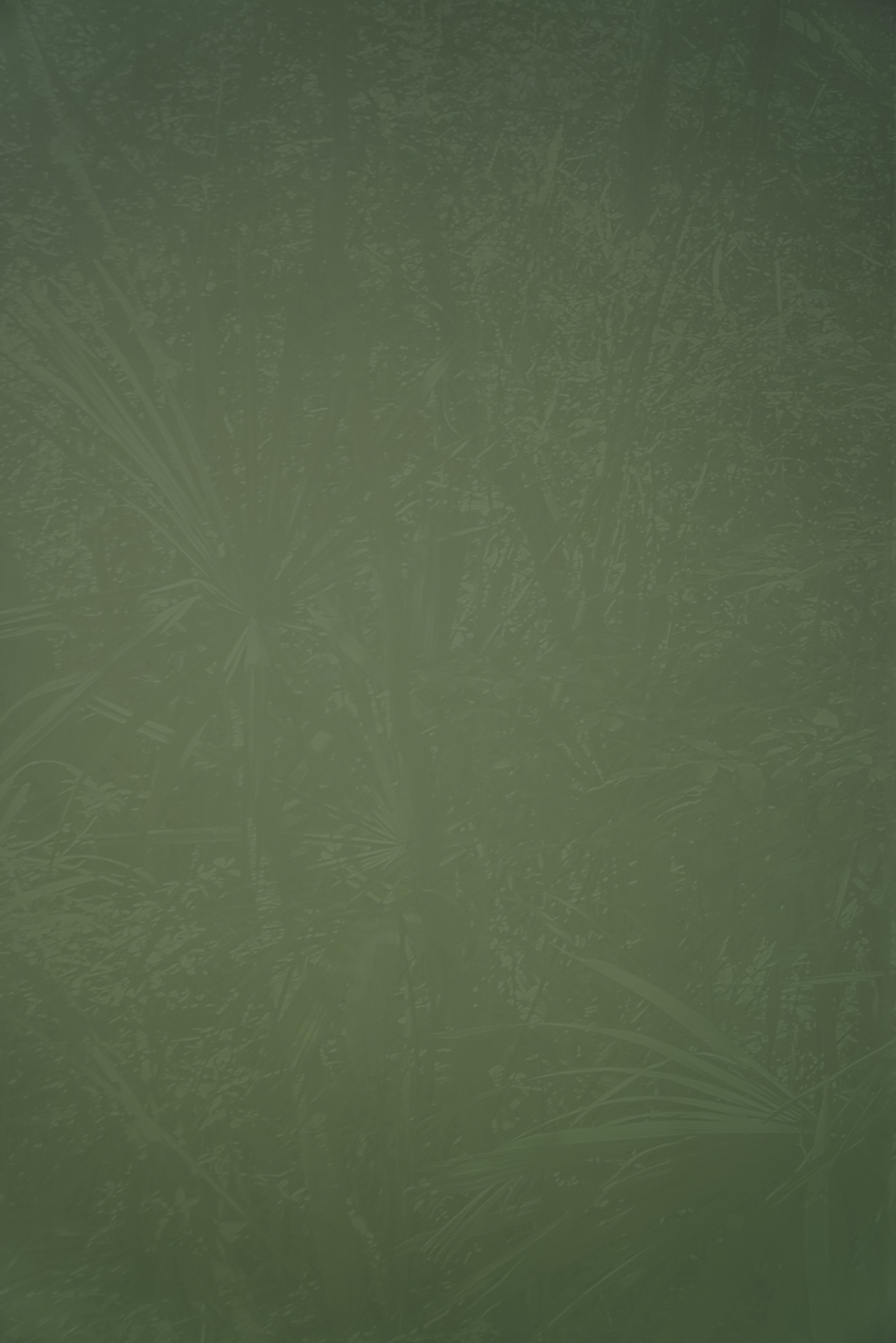 Biospere #2, wallpaper detail, 2016