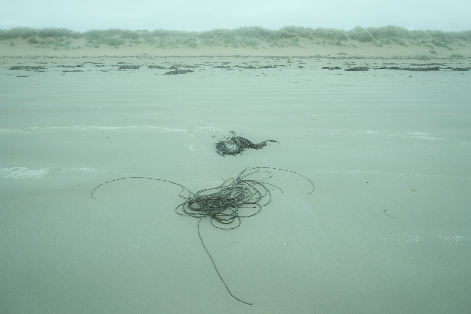 Blue Tide Spirals, 2015