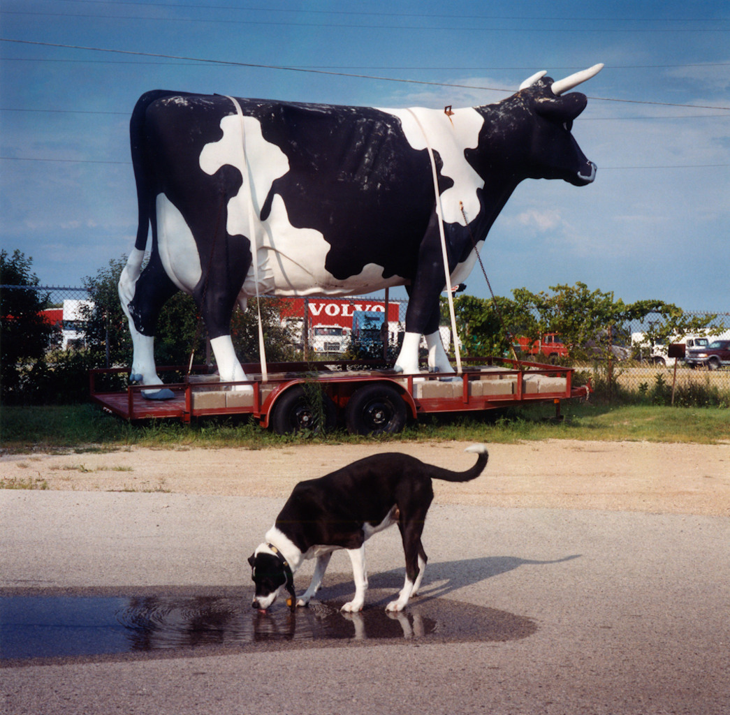 <em>South of Osh Kosh, Wisconsin,</em> 2003