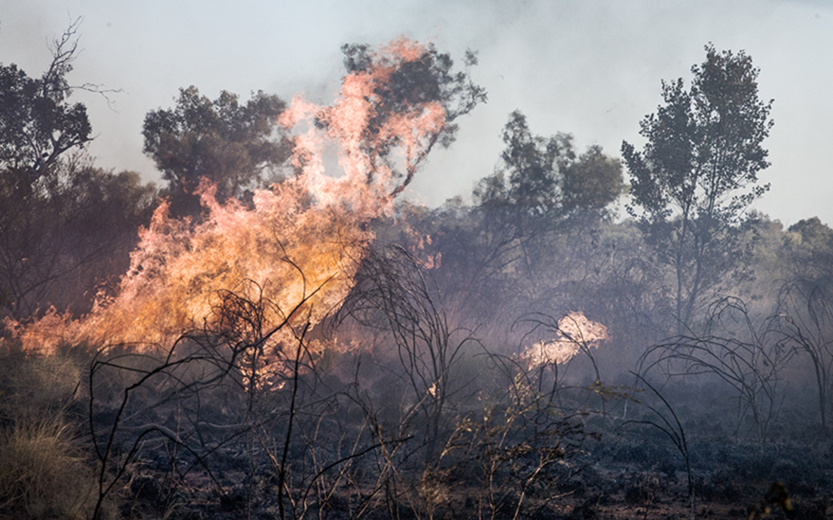 Cleaning Up 1 (Lajamanu Community NT, June 2015)