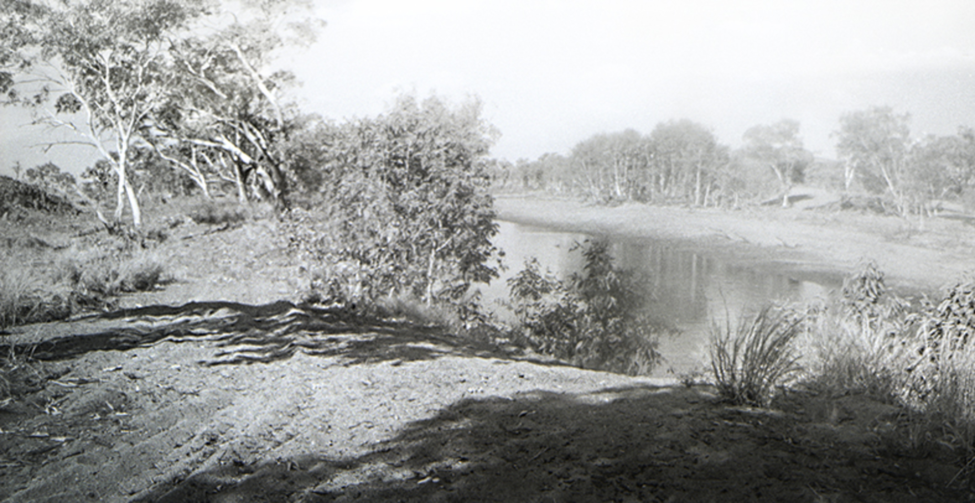 Catfish Waterhole (Tanami Desert NT, December 2015)