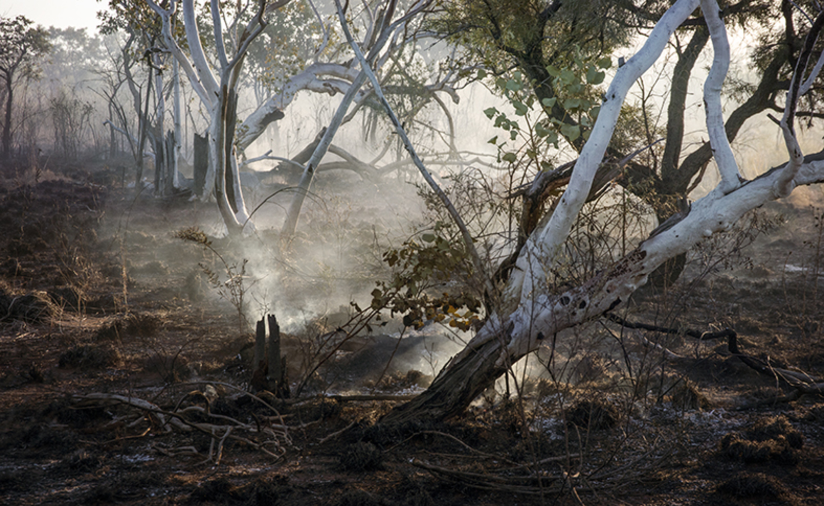 Cleaning Up 2 (Lajamanu Community NT, June 2015)