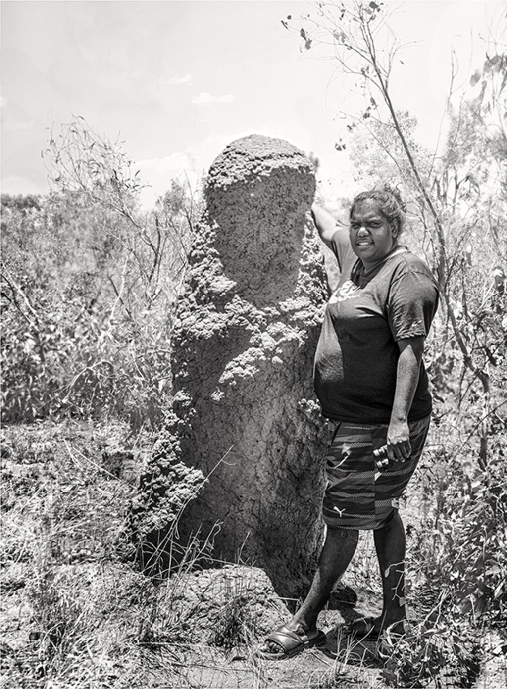 Likatiya’s Termite Mound (near Emu waterhole, Tanami Desert NT,
December 2015)