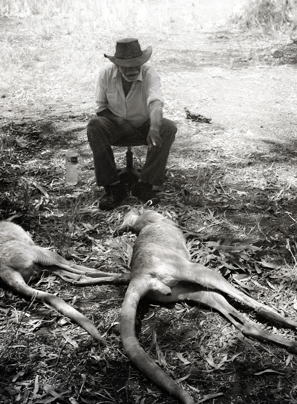 Jerry Jangala Oversees Kangaroo Ceremony (Tanami Desert
Outpost NT, November 2014)