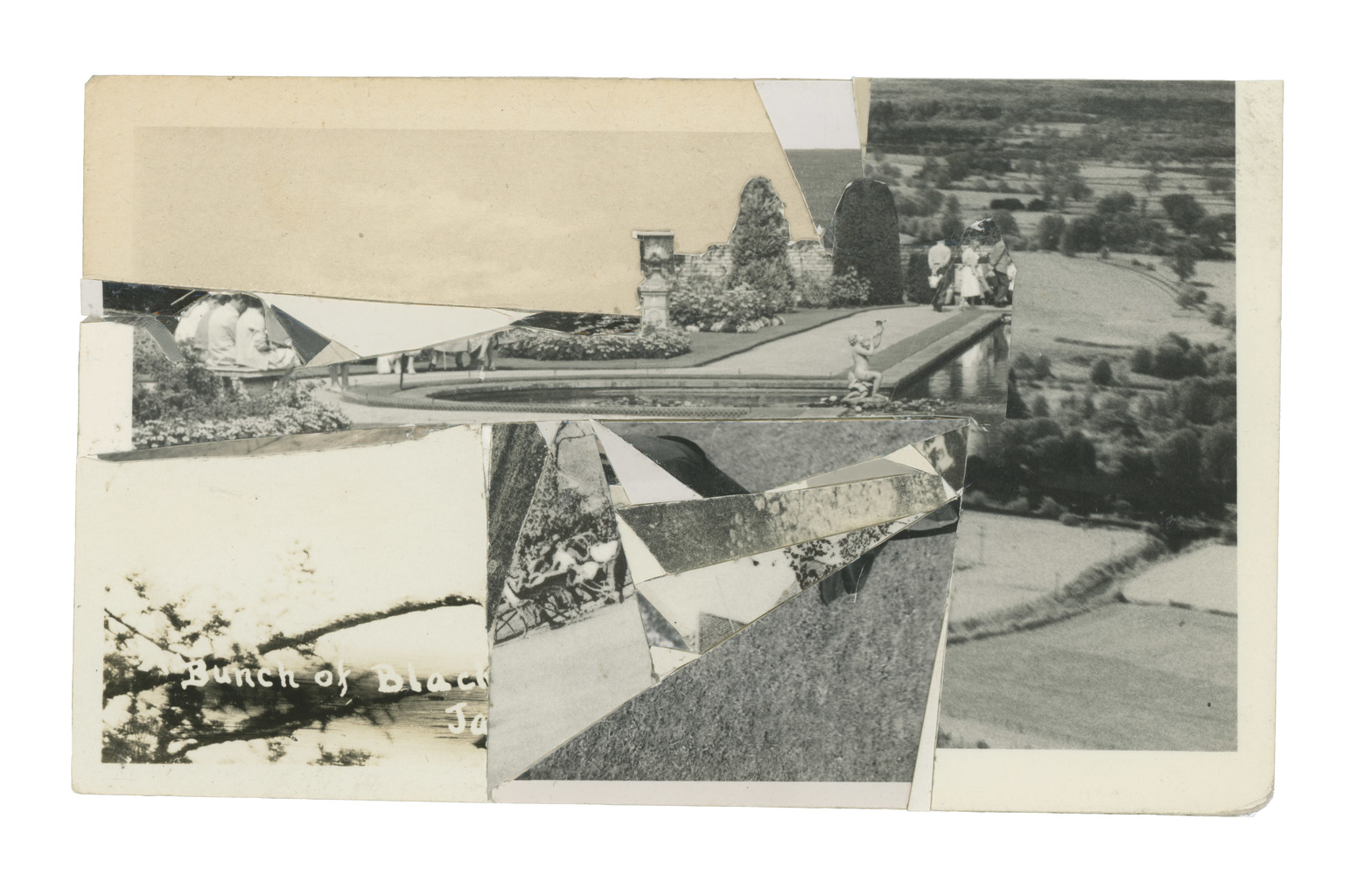 Fields And Branch, 2011, Collage, 8 x 13.2 cm.