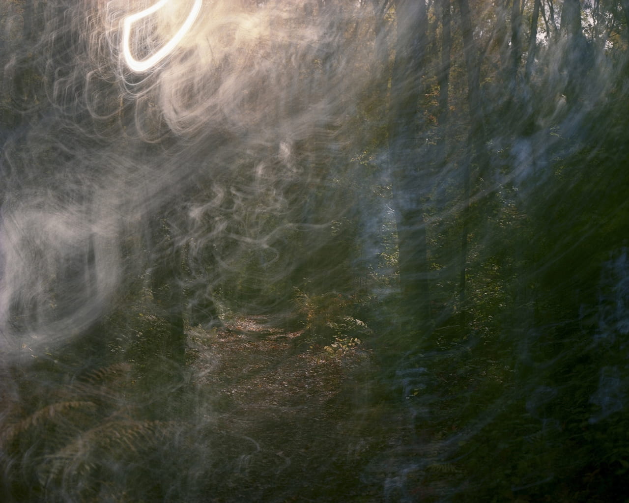 Walden Woods, Autumn