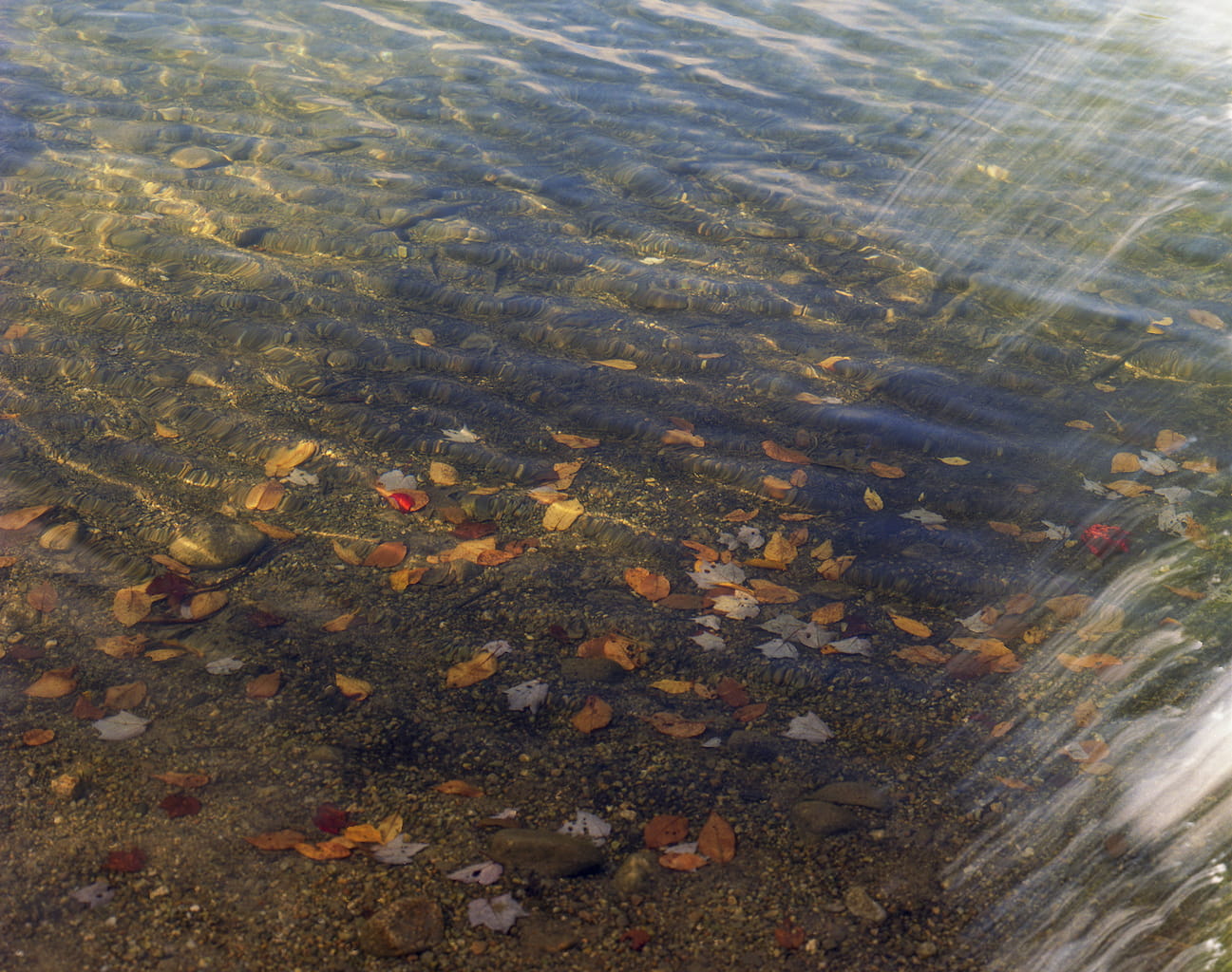 Walden Pond, Autumn