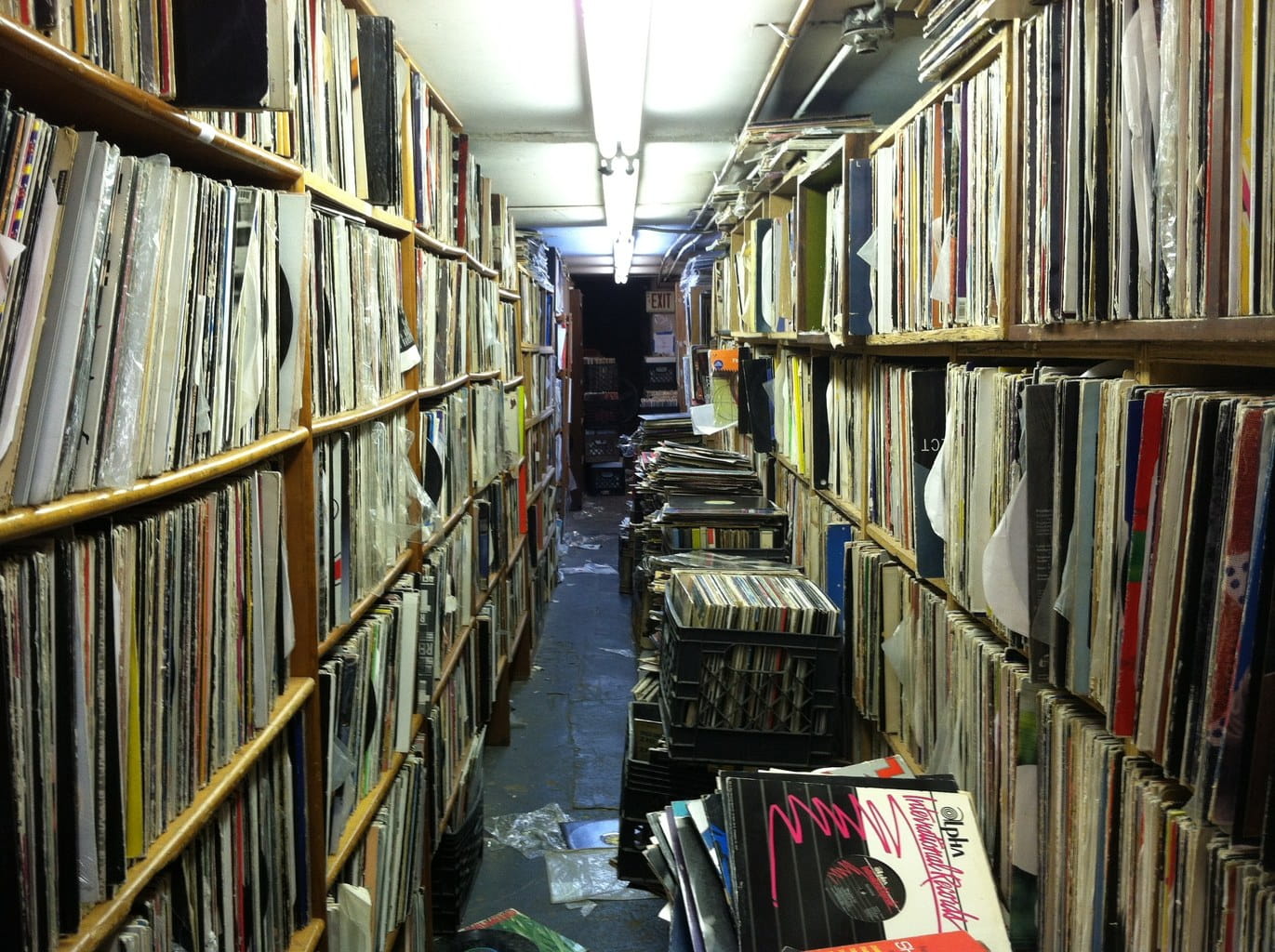 Vestibulum consequat 