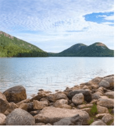 Environmental Impact