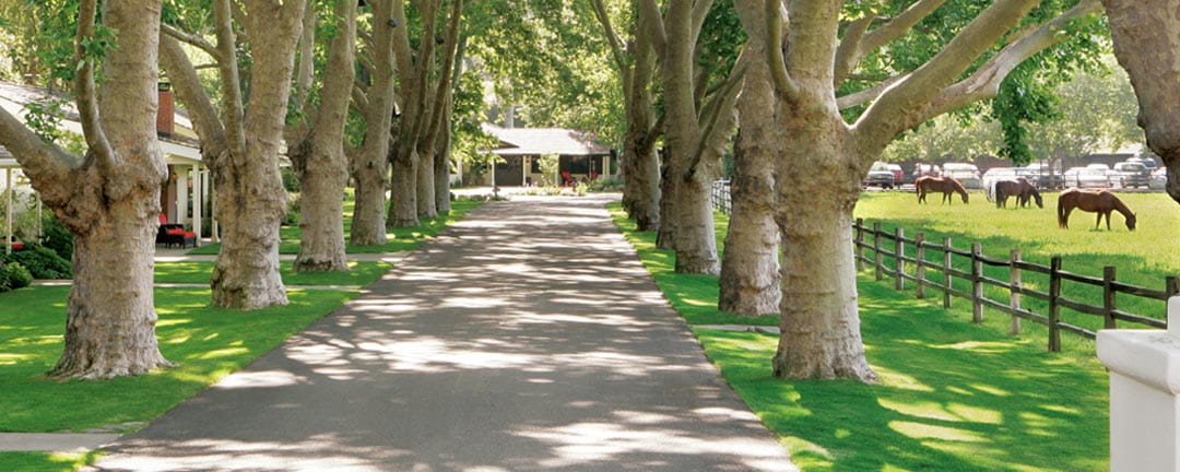 Beauty and Serenity abound at Alisal Guest Ranch and Resort in Santa Barbara