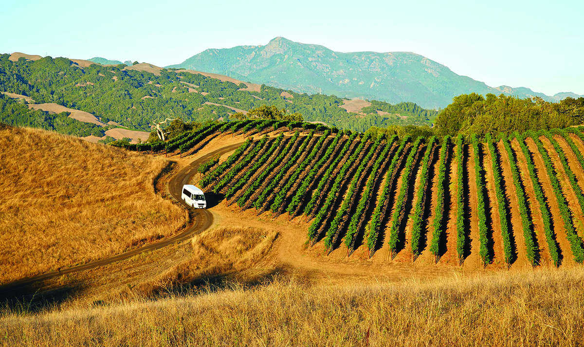 Estate Tour & Tasting Jordan Vineyard & Winery