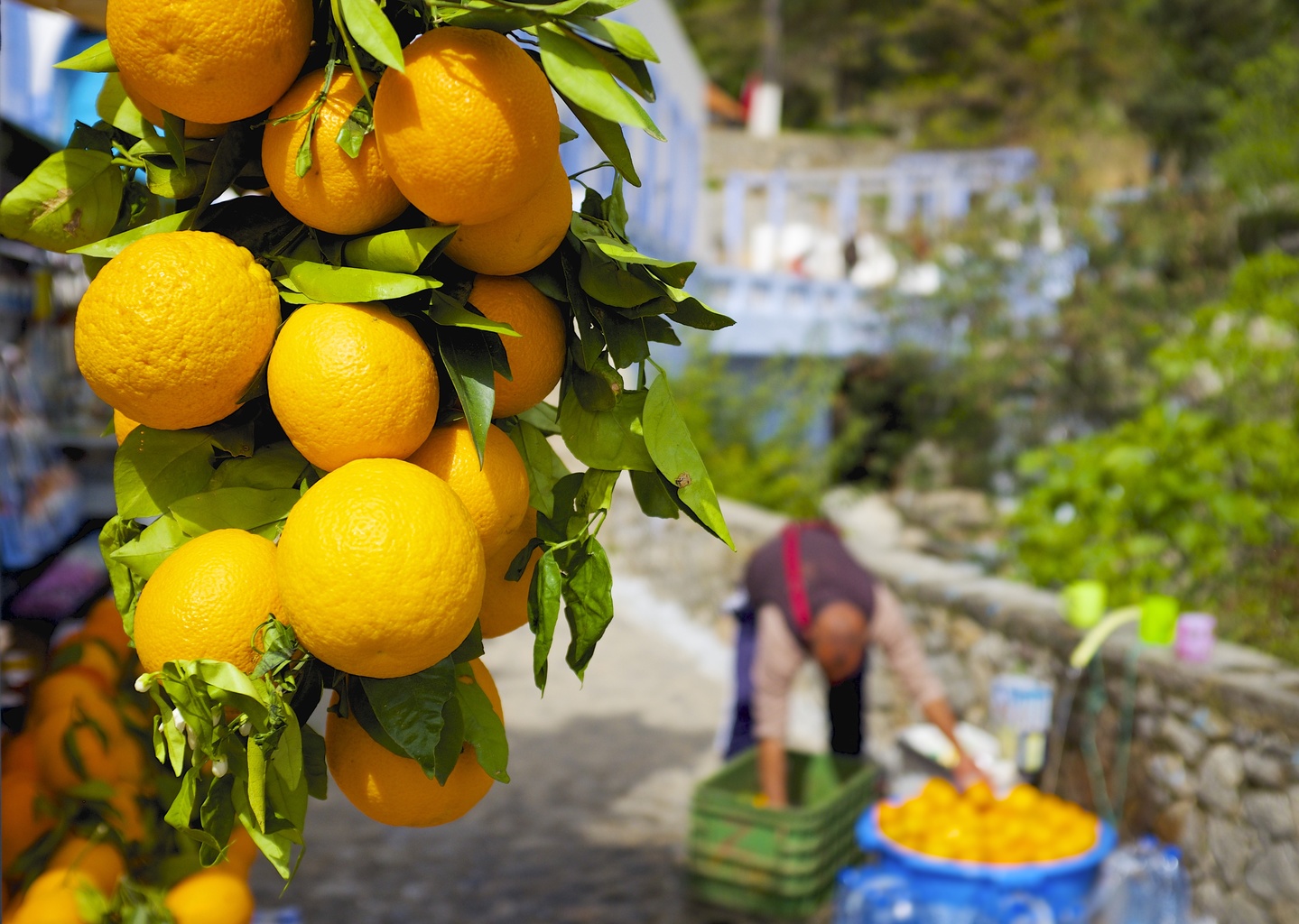 Maximize your content by creating snack-sized takeaways.