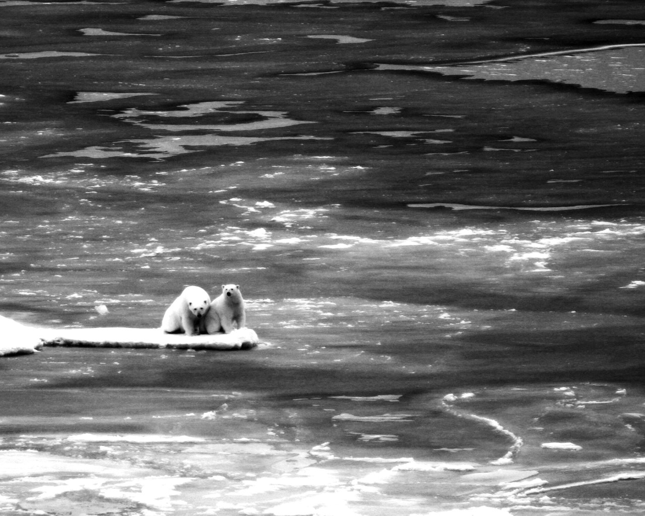 Concern for the victims of unethical consumerism is one of 3 feelings that turns an abstract belief into action, via the dollar. @JCRNEWS #contentmarketing