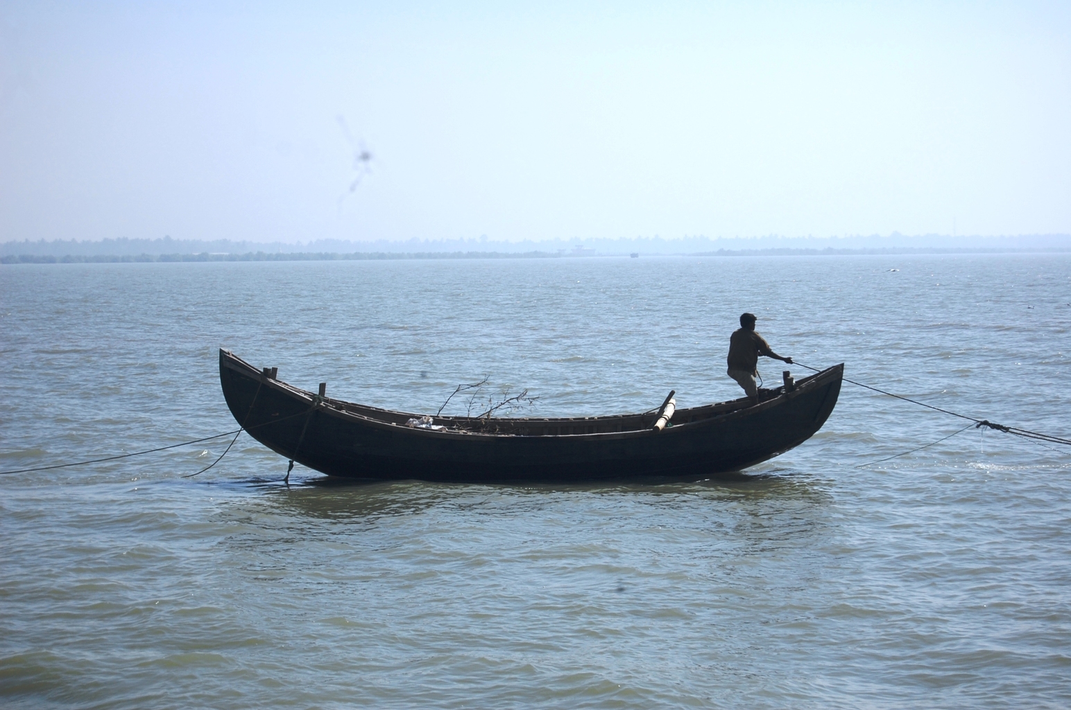 Less than 100 peeling sheds are also registered with Thai Frozen Foods Association.