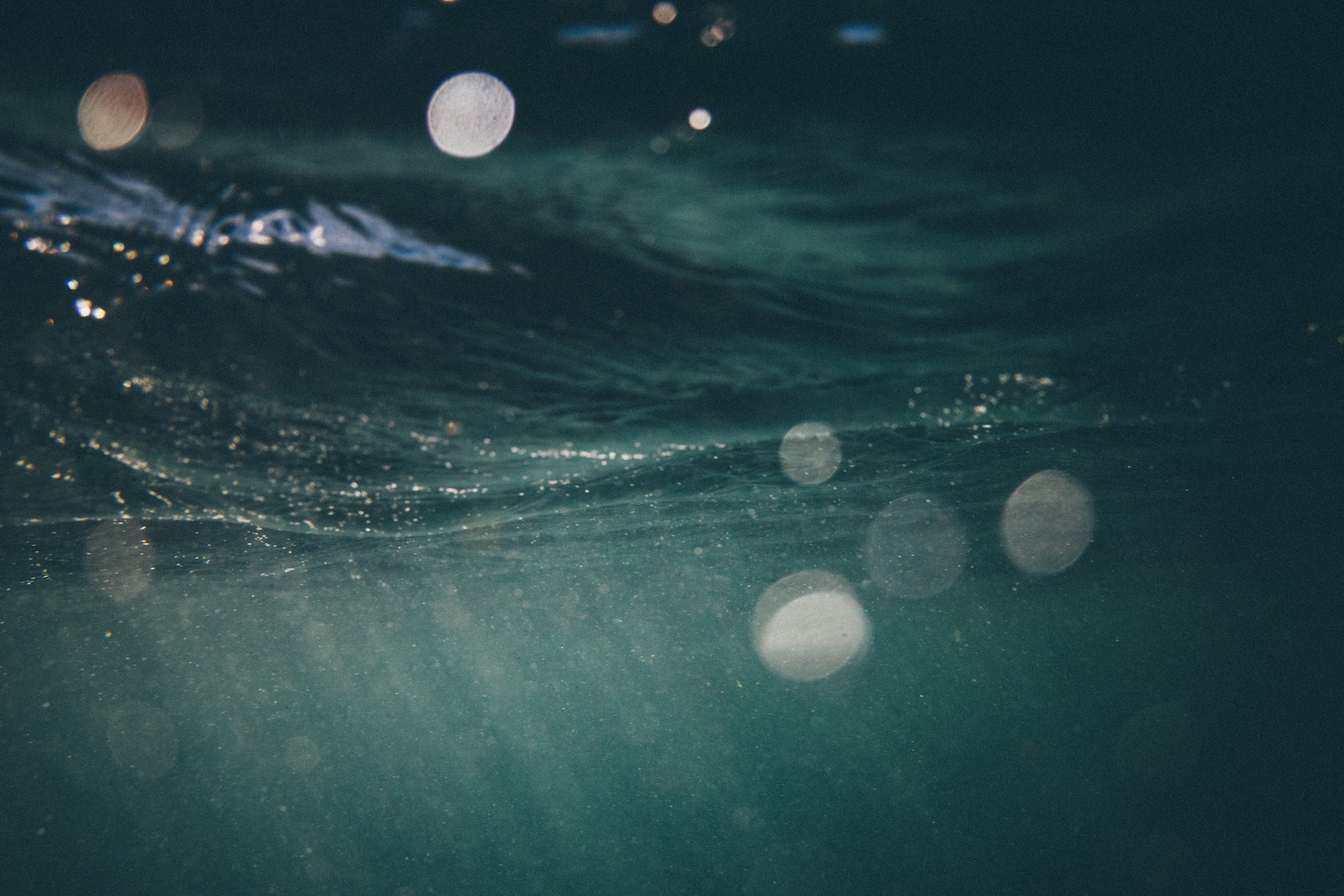FishWise sought out the certification programs that incorporate social standards and are tailored specifically to the seafood industry.