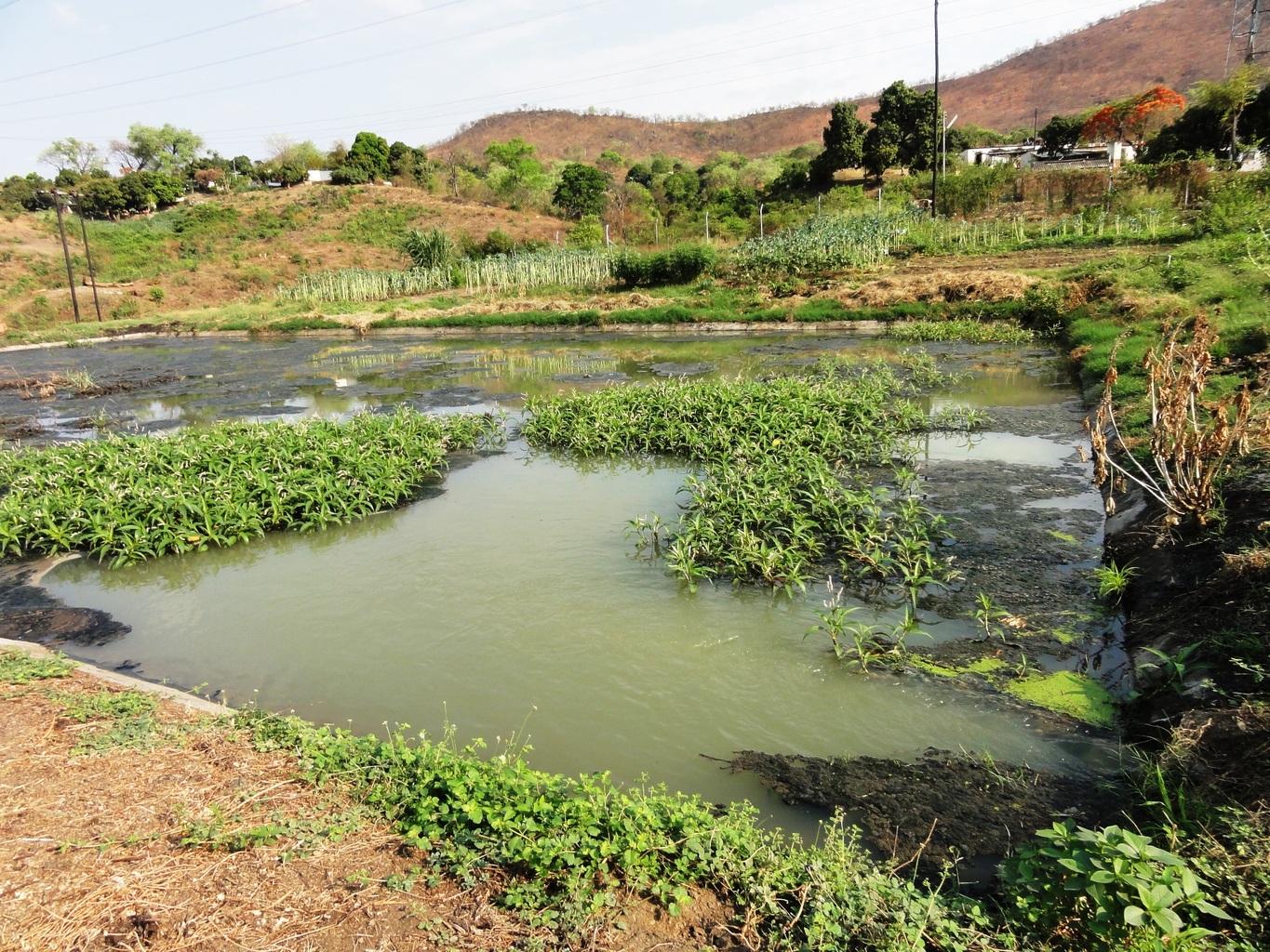 We conclude that technical and institutional interventions can enhance safety nets, but do little to significantly reduce poverty.