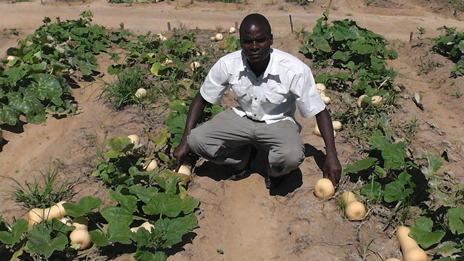 A primary objective should be to empower people to drive their own development.