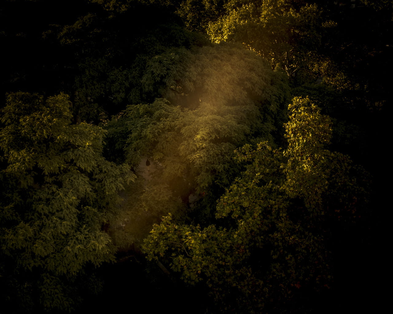 2021 Daylight Photo Awards Jury Highlights – Daylight Books