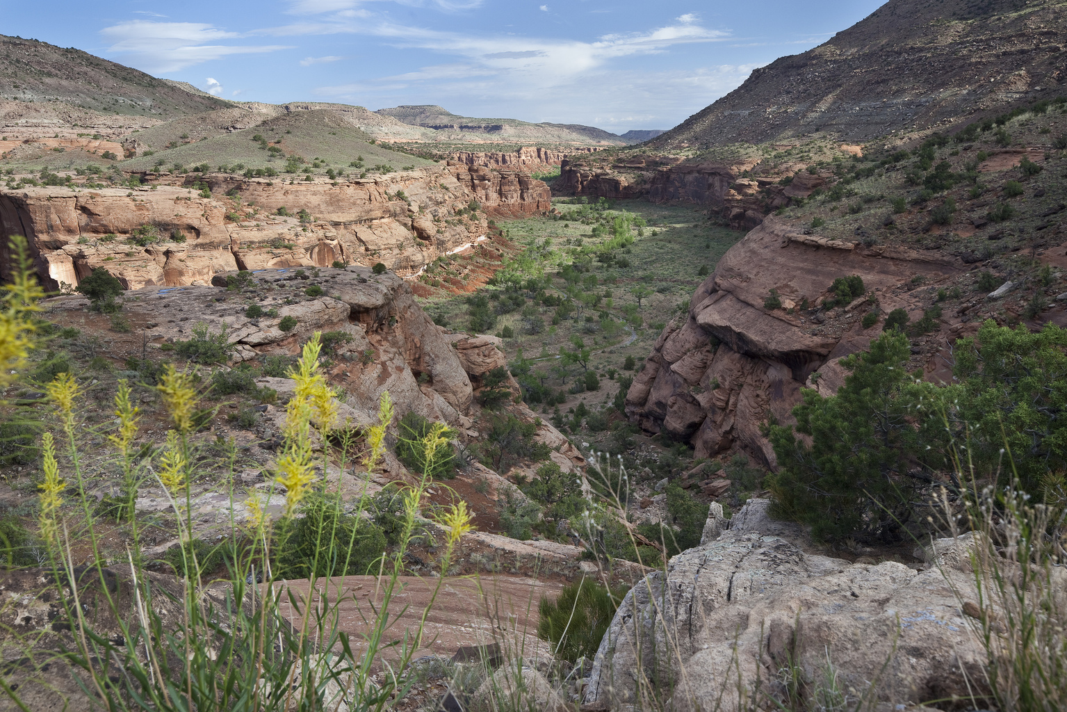 At the #MME16? Head out to Red Rock Canyon for some stunning views. @OracleMktgCloud 